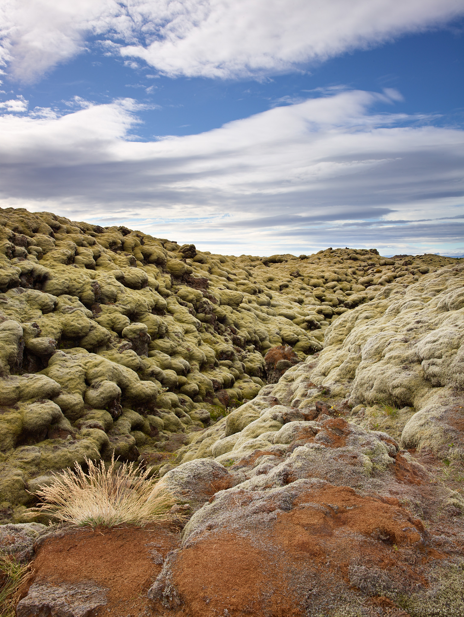 Mossy Lava Field